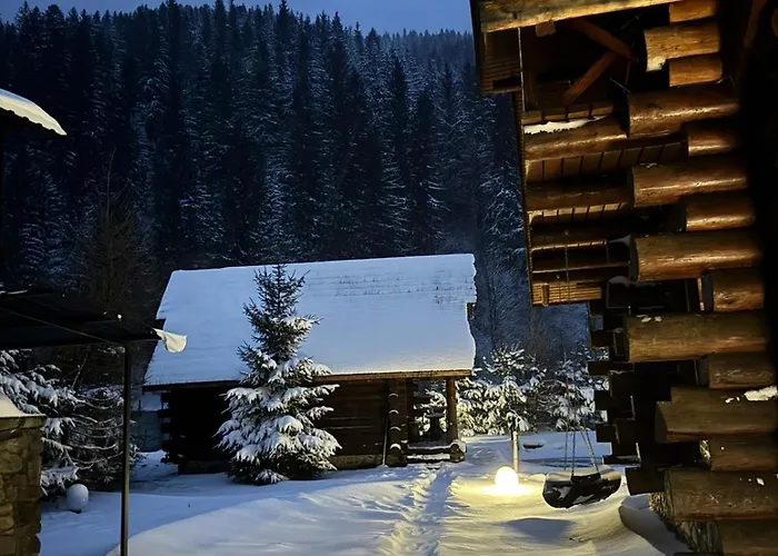 18/a Konukevi Synevyrsʼka Polyana